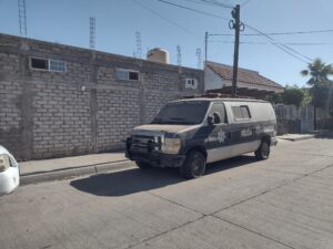 IMG_20250227_093013578_HDR