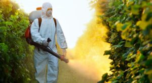 fumigaciones-1024x563