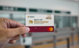 bienestar-tarjeta2.jpg_1585861856