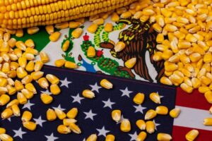 Mexico-importacion-granos-USA