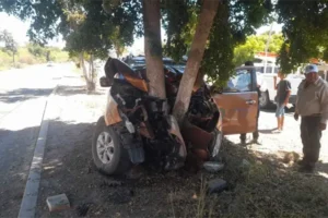 mujer-sufre-lesiones-graves-en-choque-contra-un-arbol-en-los-mochis-1bb40041-focus-0-0-600-400